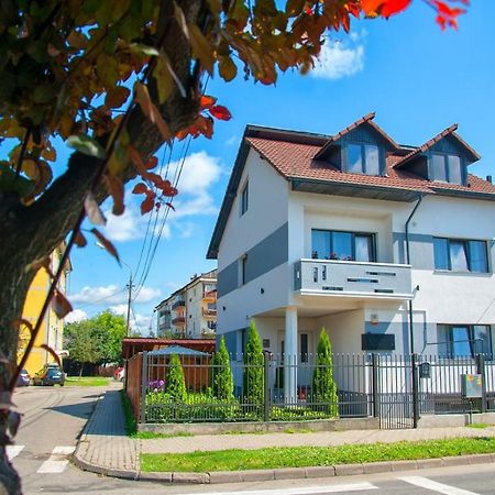 Vila Roza Sighetu Marmaţiei Buitenkant foto