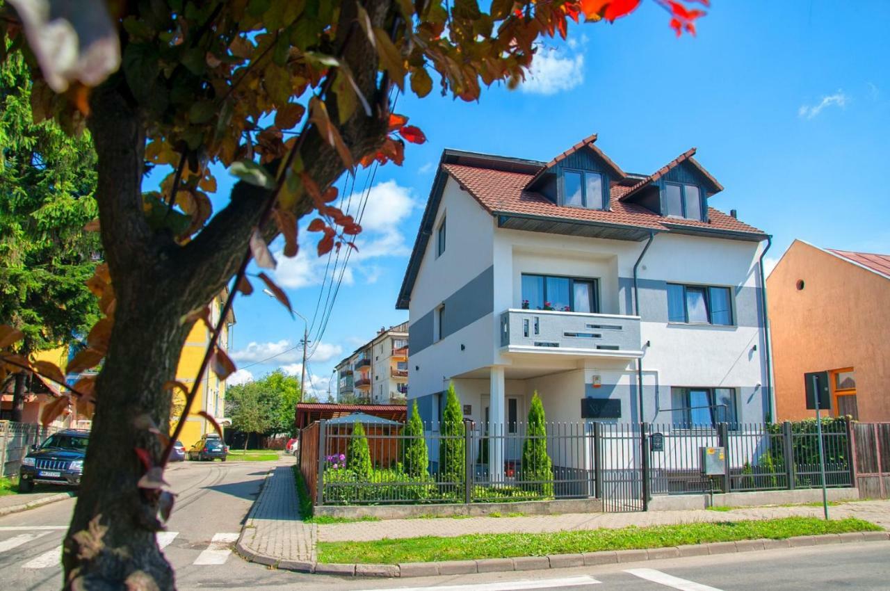 Vila Roza Sighetu Marmaţiei Buitenkant foto